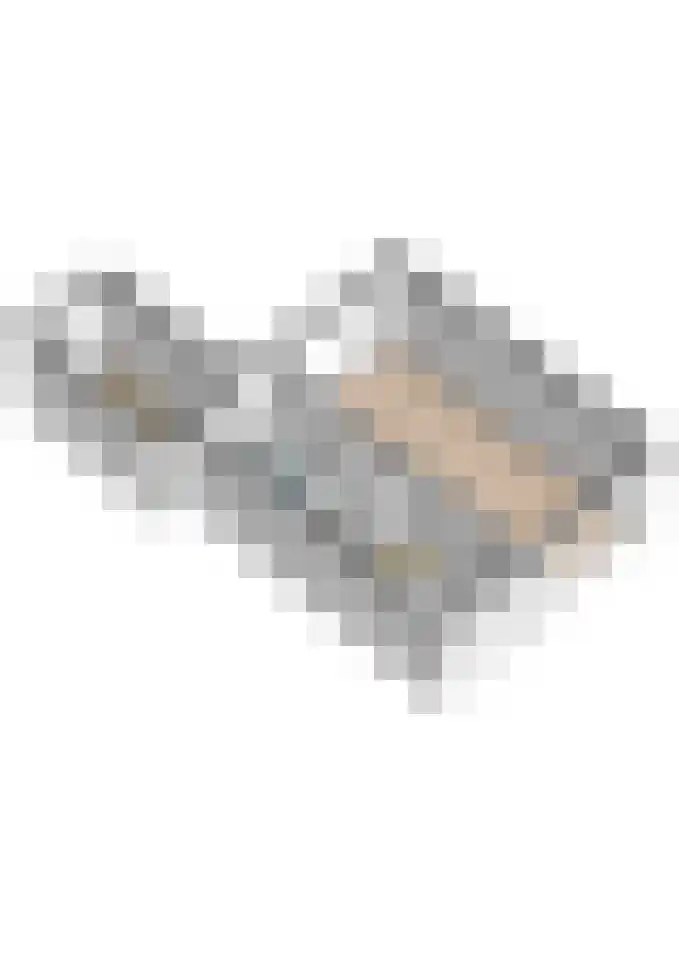 Regthuisstraat 2 Oudkarspel thumbnail 41