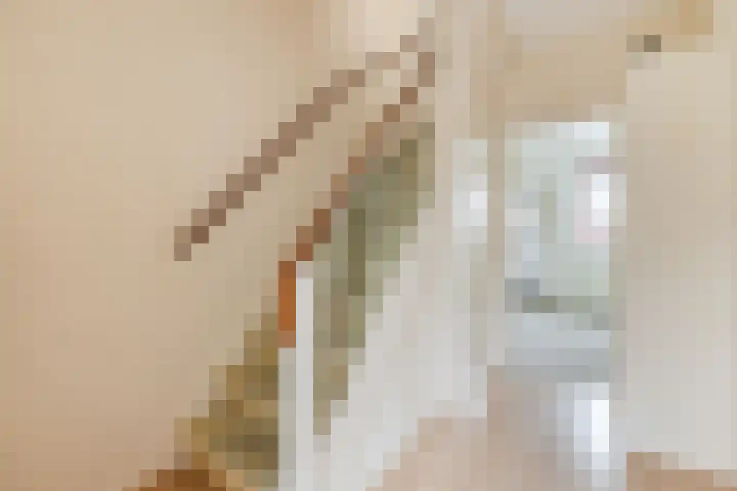 Regthuisstraat 2 Oudkarspel thumbnail 9