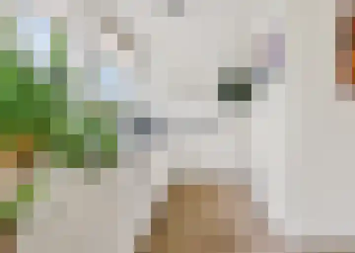 Regulierenhove 7 Leusden thumbnail 12