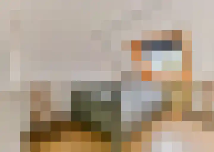 Regulierenhove 7 Leusden thumbnail 18