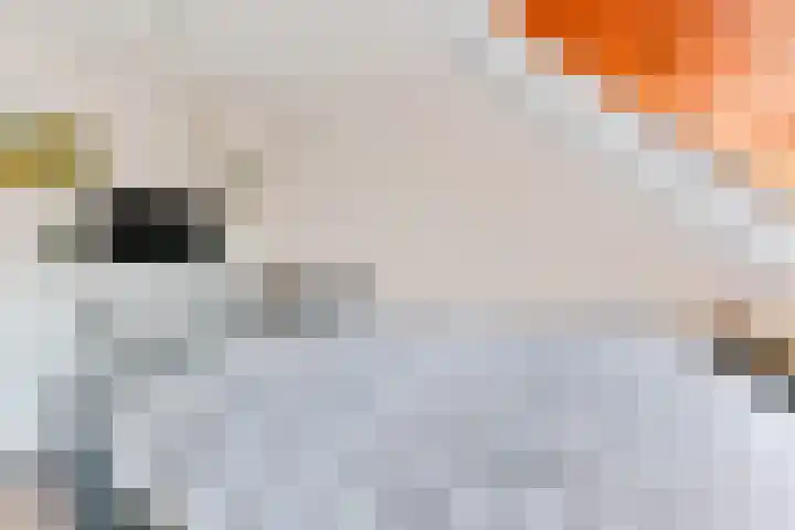 Regulierenhove 7 Leusden thumbnail 19