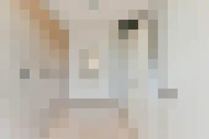 Regulierenhove 7 Leusden thumbnail 23