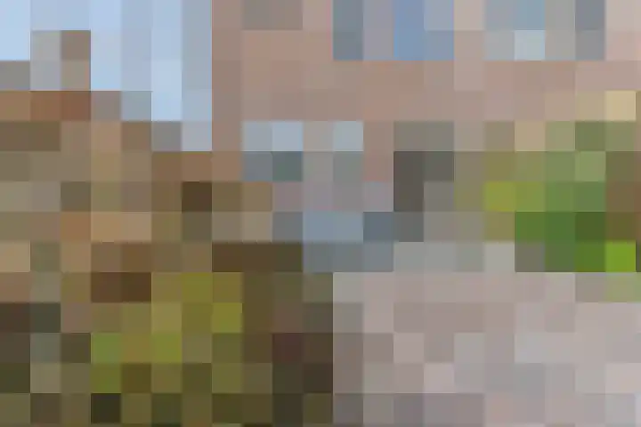 Regulierenhove 7 Leusden thumbnail 30
