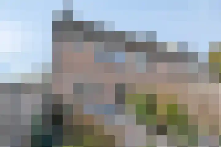 Regulierenhove 7 Leusden thumbnail 31