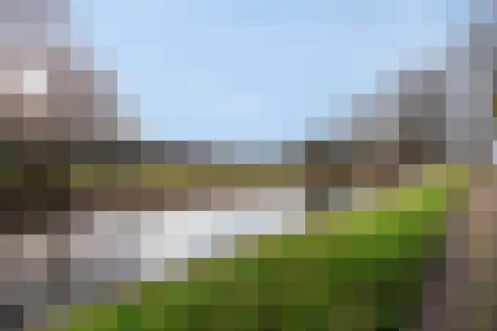 Regulierenhove 7 Leusden thumbnail 5