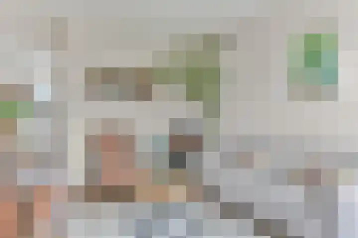 Regulierenhove 7 Leusden thumbnail 9