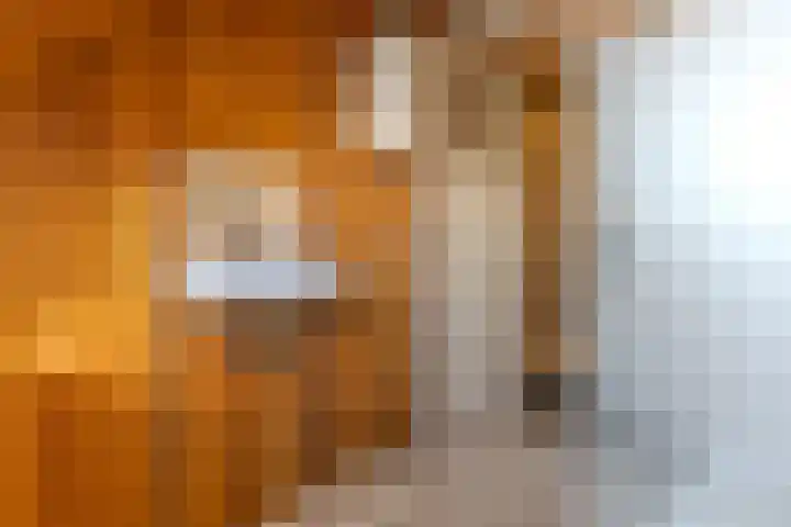 Reguliersdwarsstraat 14 Beverwijk thumbnail 16