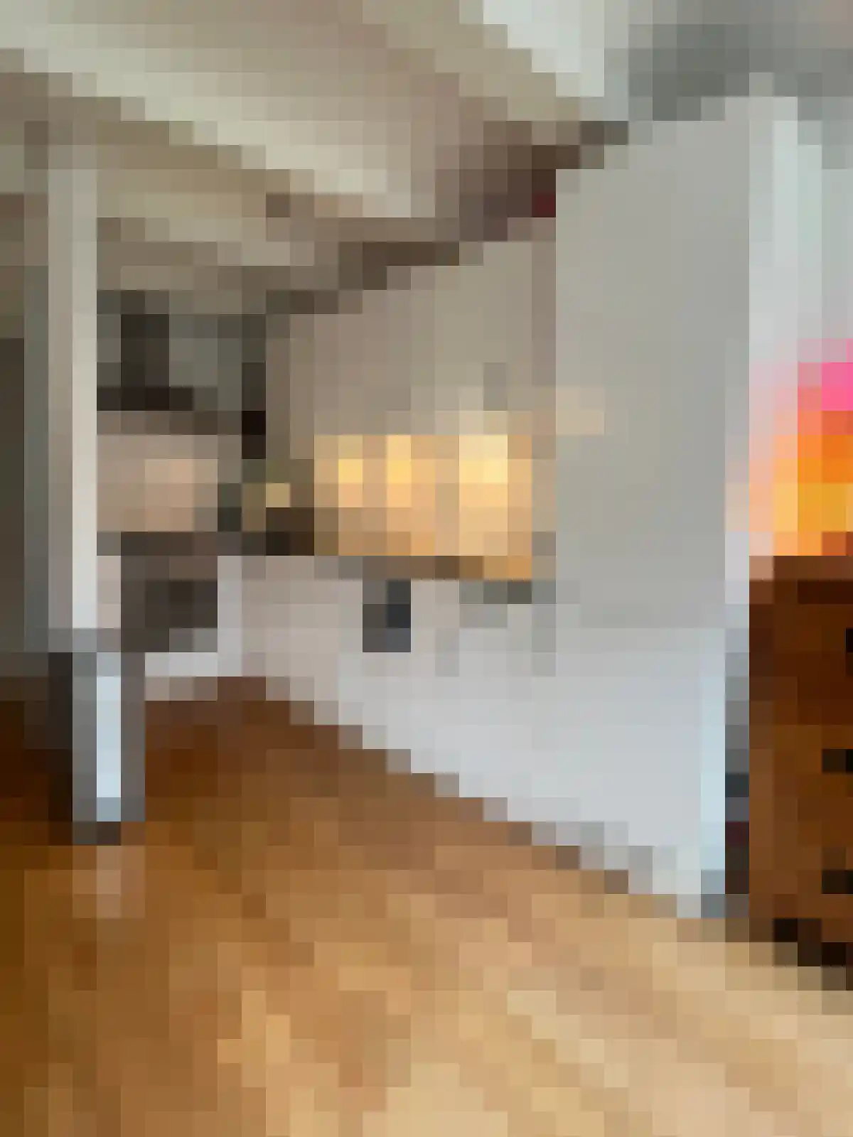 Reguliersdwarsstraat 95 Amsterdam thumbnail 4