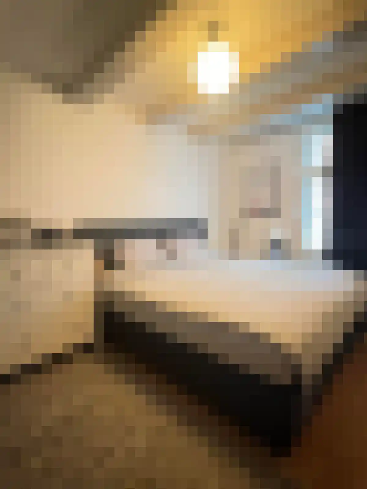 Reguliersdwarsstraat 95 Amsterdam thumbnail 5