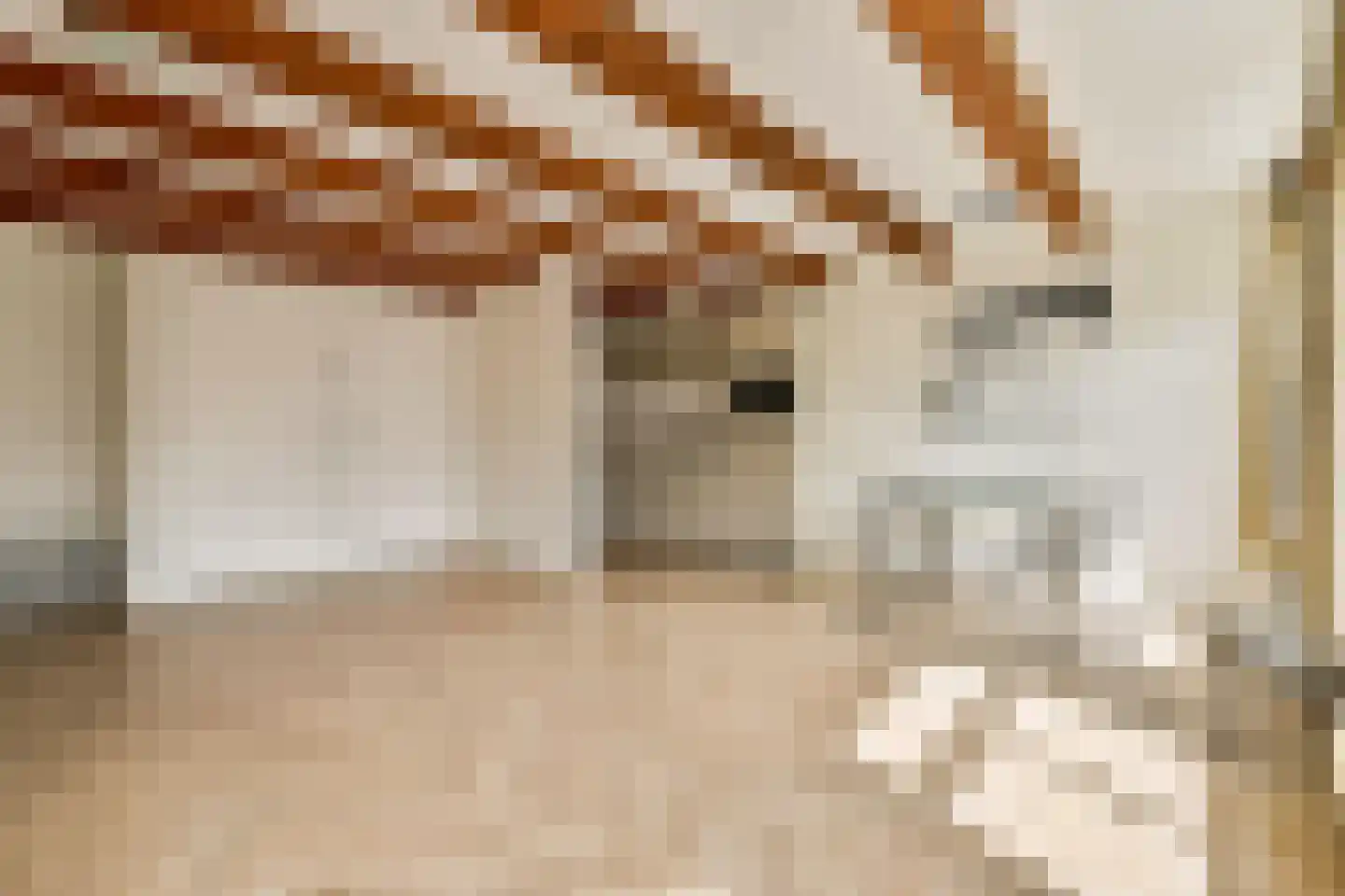 Reguliersdwarsstraat 95 D Amsterdam thumbnail 8