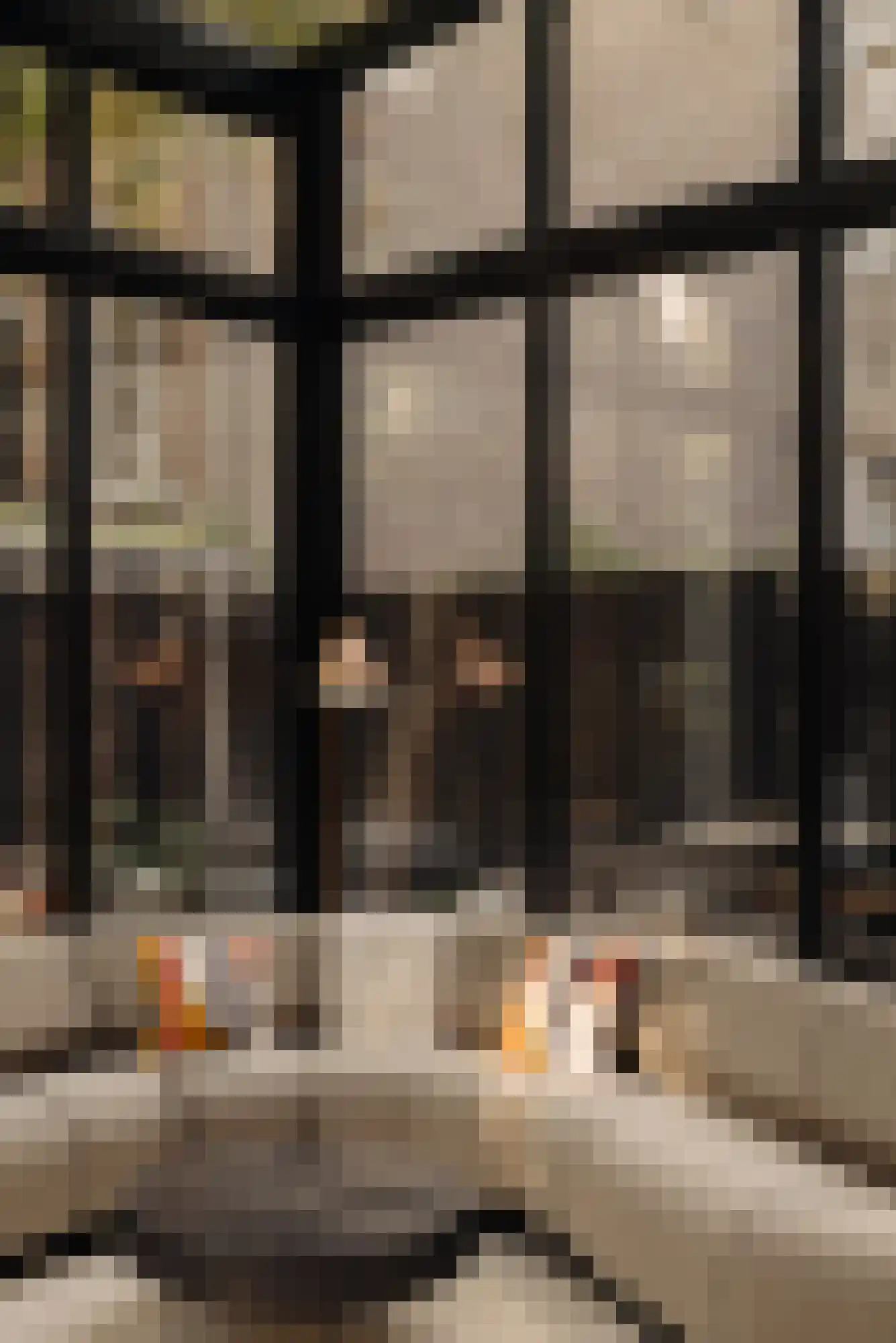 Reguliersgracht 111 Amsterdam thumbnail 15