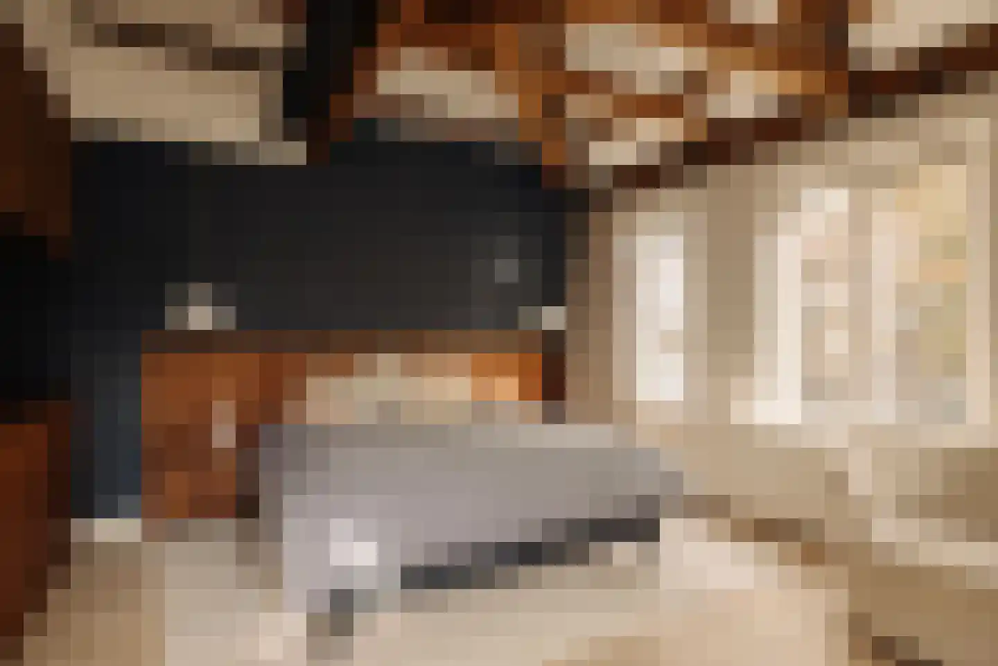 Reguliersgracht 111 Amsterdam thumbnail 39