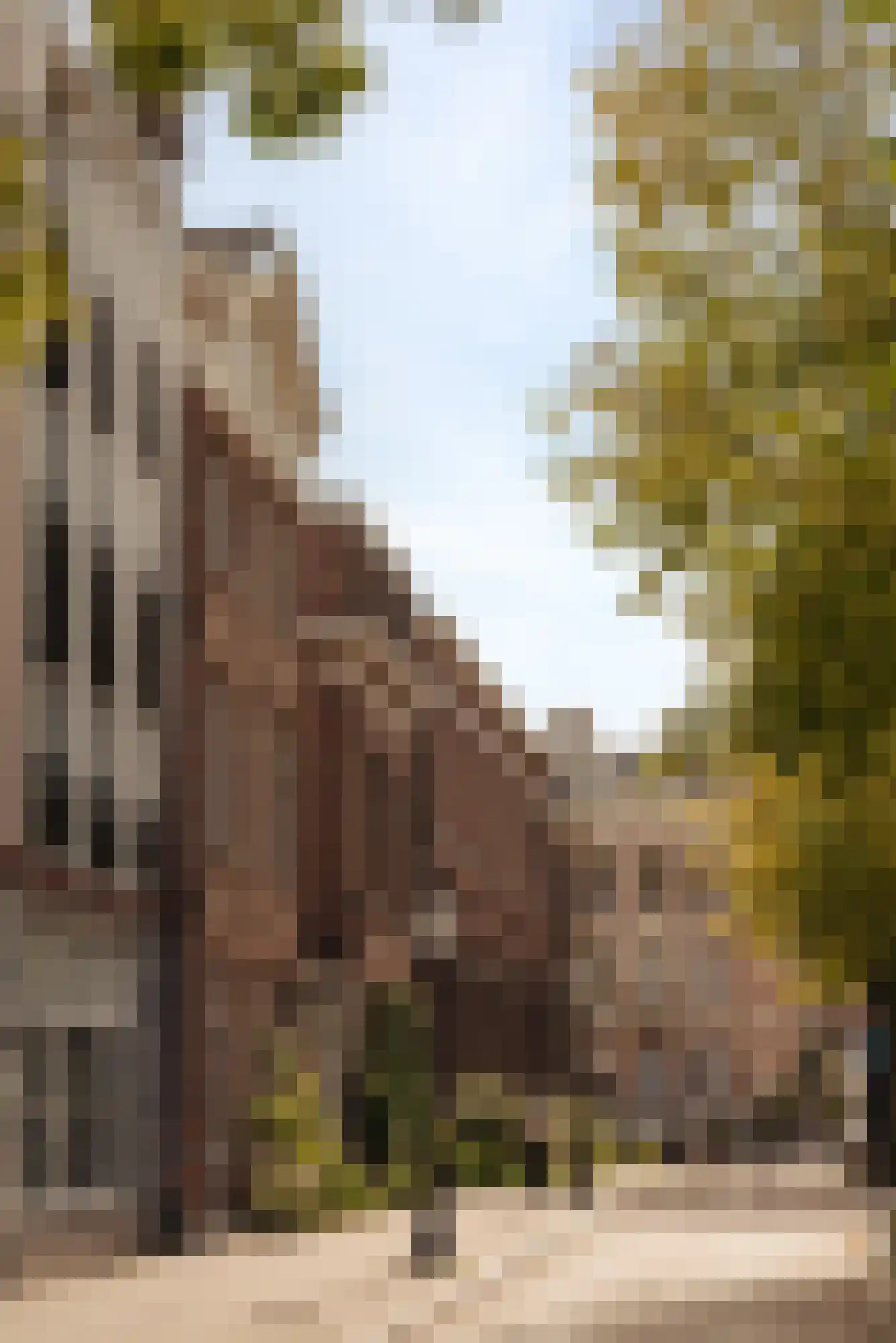 Reguliersgracht 111 Amsterdam thumbnail 56