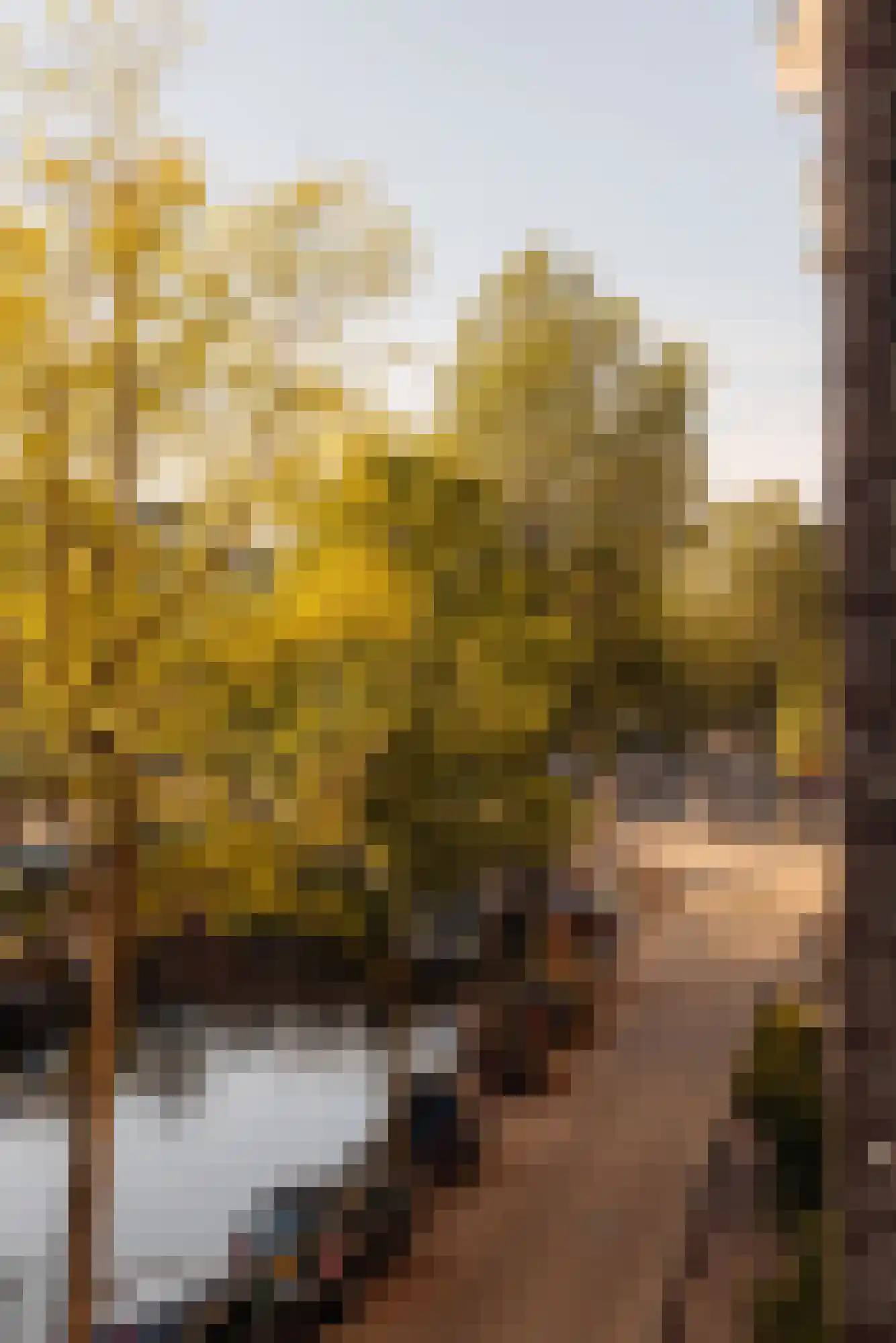 Reguliersgracht 18 H Amsterdam thumbnail 61