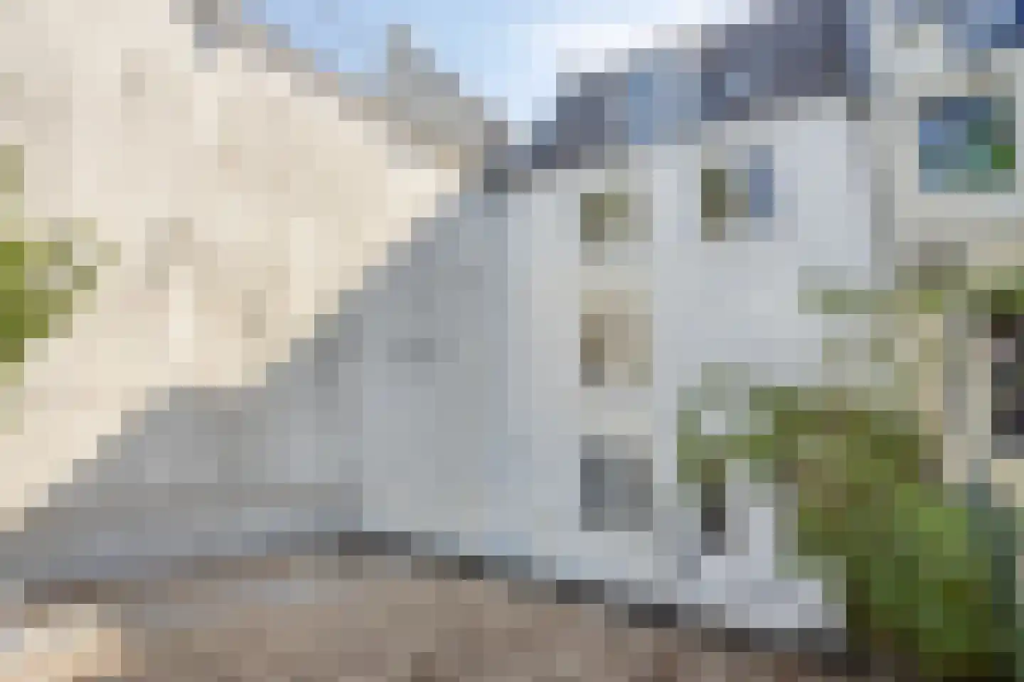 Reguliersgracht 20 Amsterdam thumbnail 24