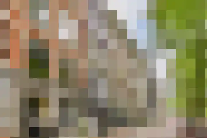 Reguliersgracht 56 Amsterdam thumbnail 31