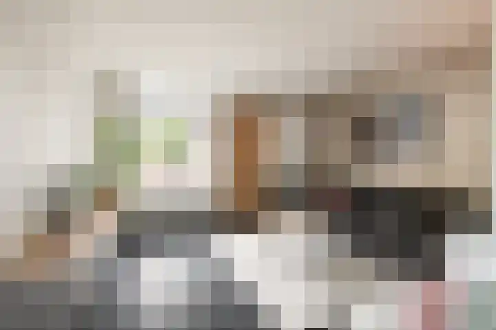 Regulierslaan 2 Alkmaar thumbnail 12