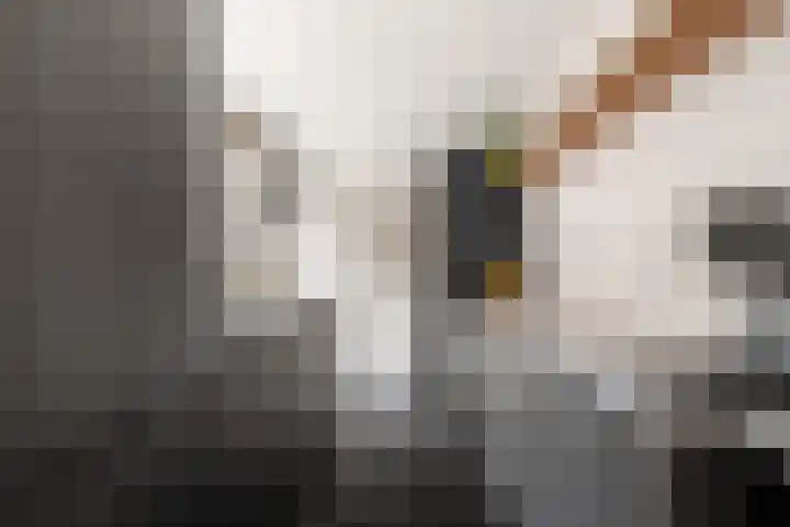 Regulierslaan 2 Alkmaar thumbnail 14