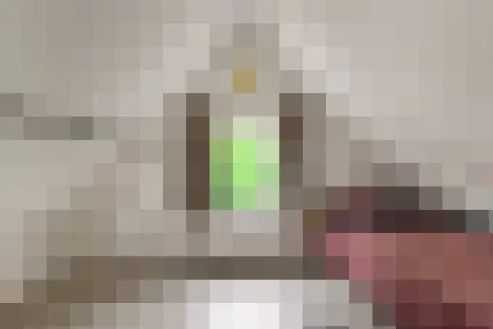 Regulierslaan 2 Alkmaar thumbnail 23