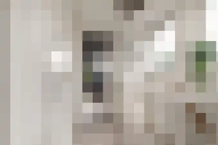 Regulierslaan 2 Alkmaar thumbnail 25