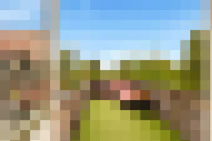 Regulierslaan 2 Alkmaar thumbnail 29