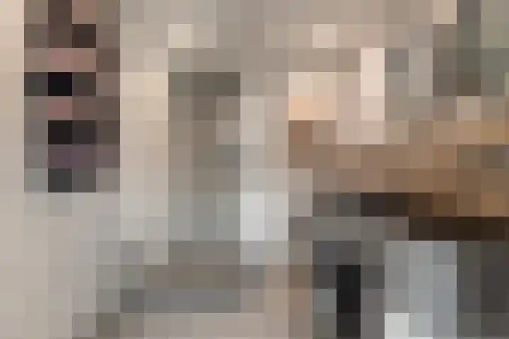 Regulierslaan 2 Alkmaar thumbnail 32