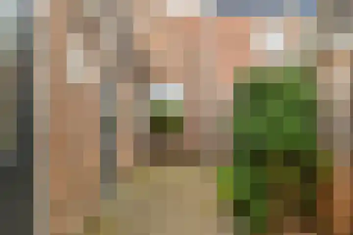 Regulierslaan 2 Alkmaar thumbnail 37