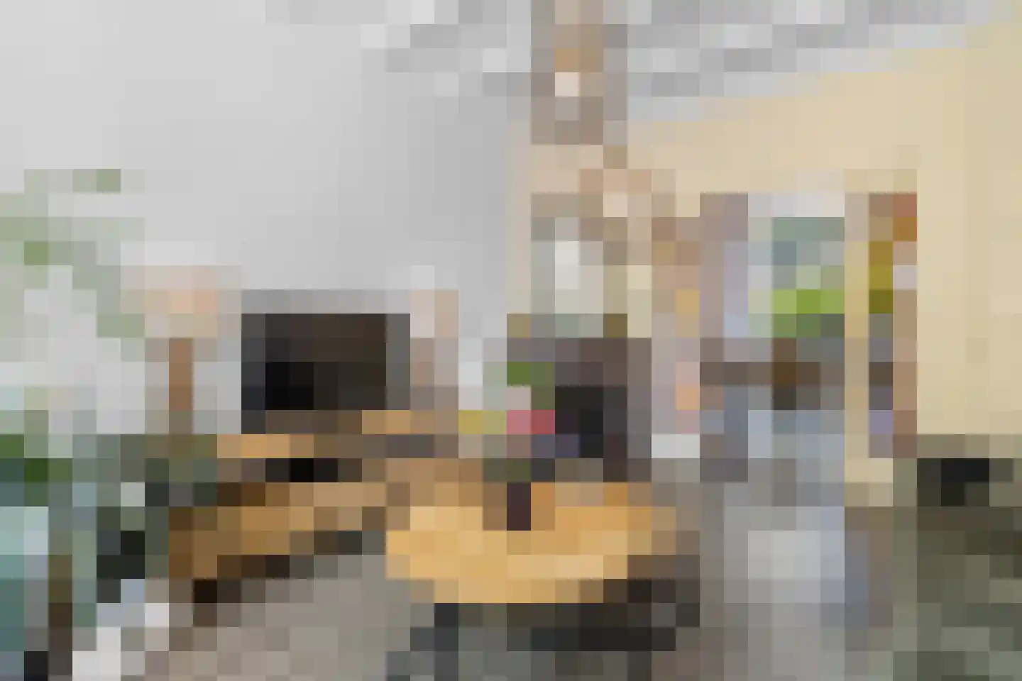 Regulierslaan 9 Alkmaar thumbnail 14