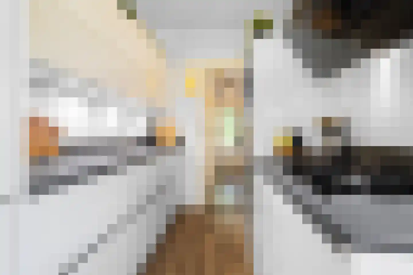 Regulierslaan 9 Alkmaar thumbnail 18