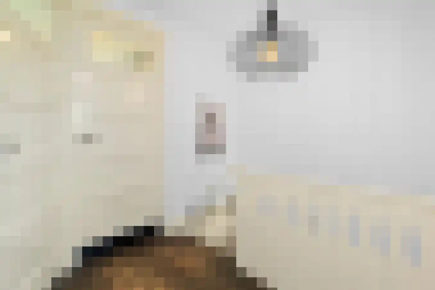 Regulierslaan 9 Alkmaar thumbnail 23