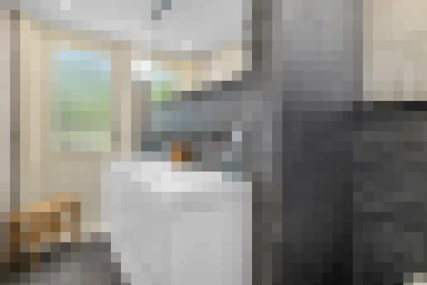 Regulierslaan 9 Alkmaar thumbnail 30