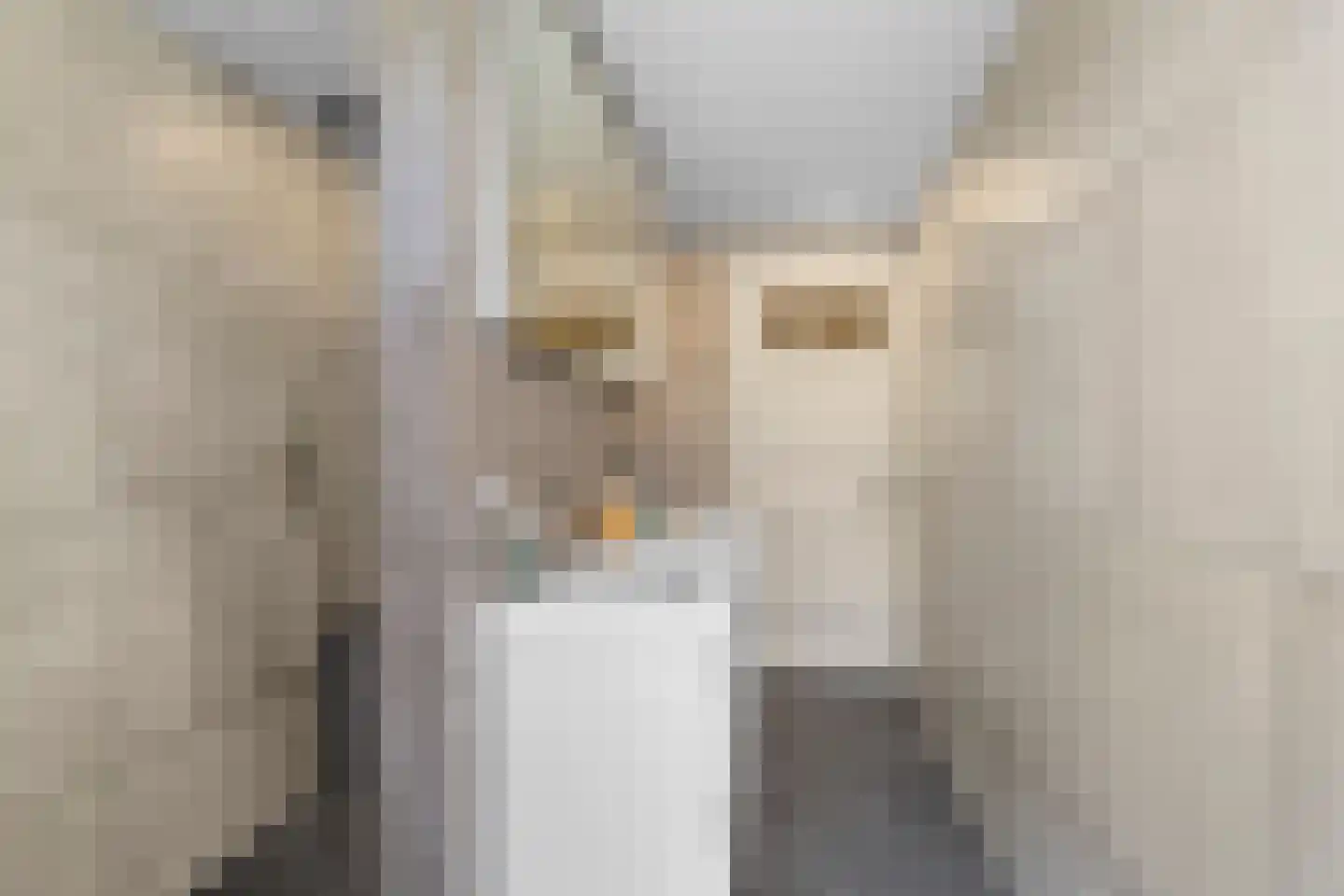 Regulierslaan 9 Alkmaar thumbnail 31