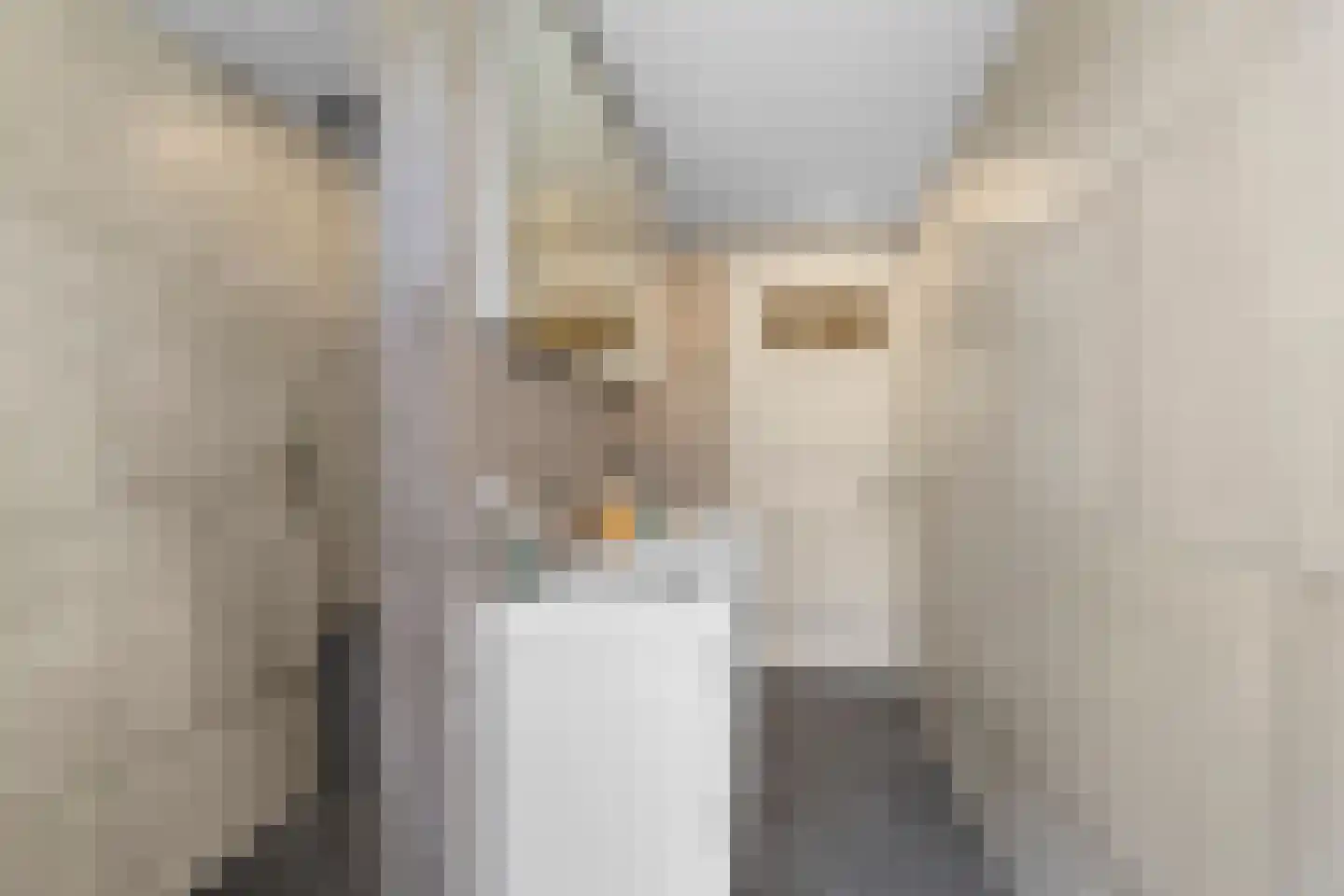 Regulierslaan 9 Alkmaar thumbnail 32
