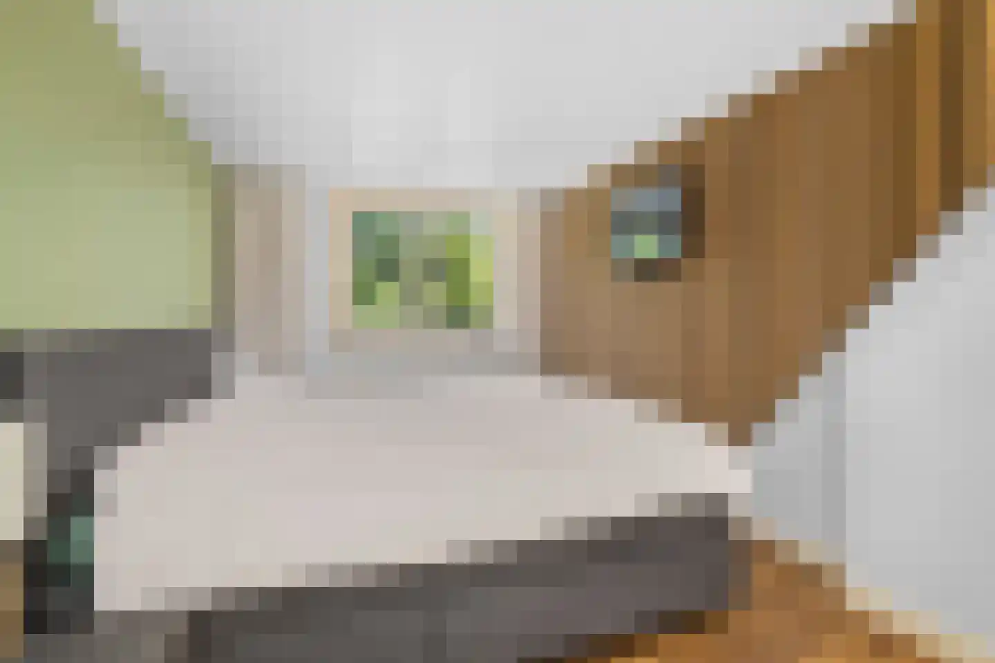 Regulierslaan 9 Alkmaar thumbnail 34