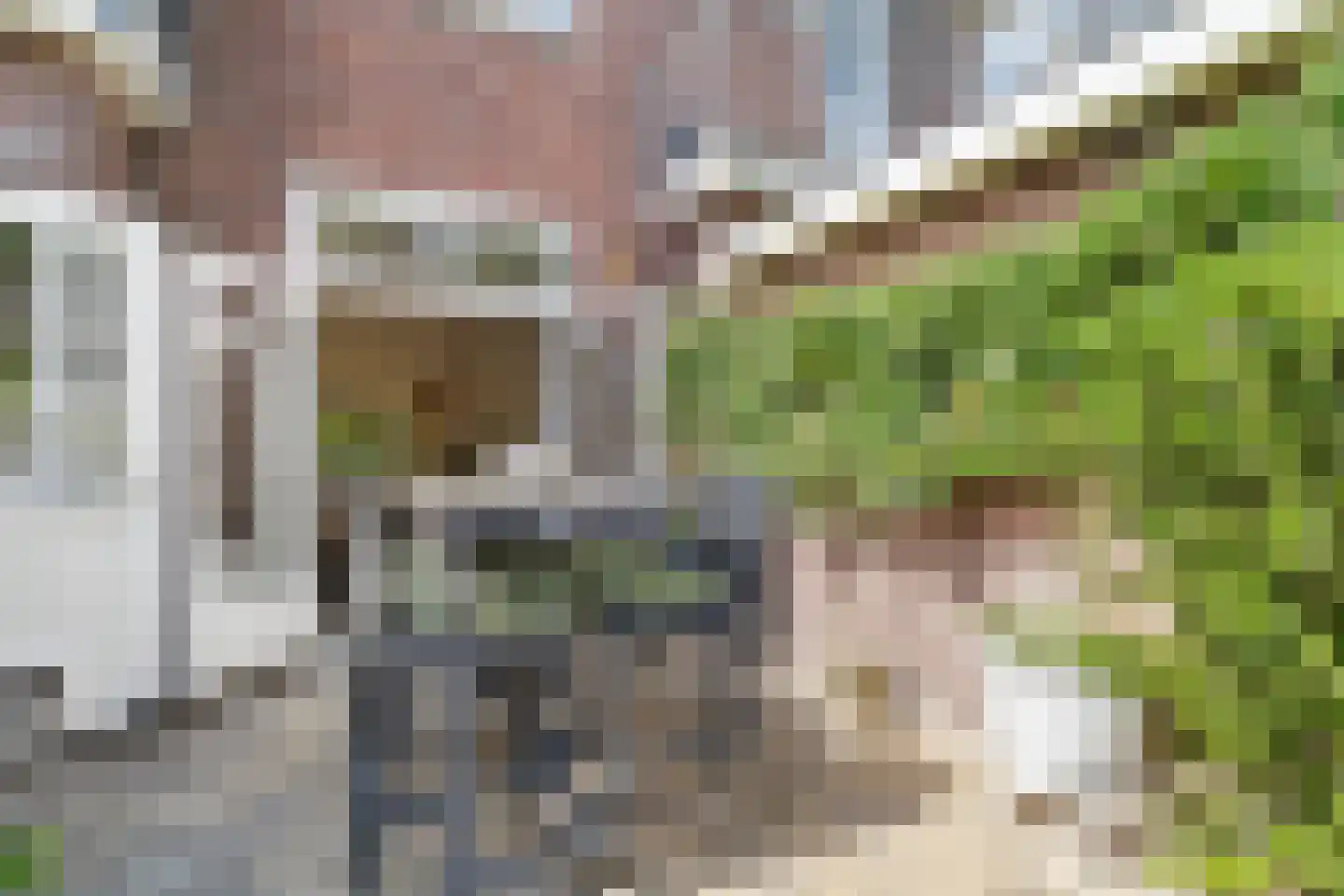 Regulierslaan 9 Alkmaar thumbnail 39