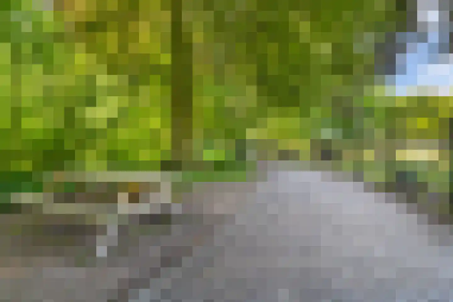 Regulierslaan 9 Alkmaar thumbnail 44