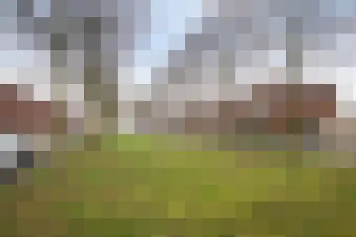 Regulierspoort 44 Nieuw-Vennep thumbnail 48