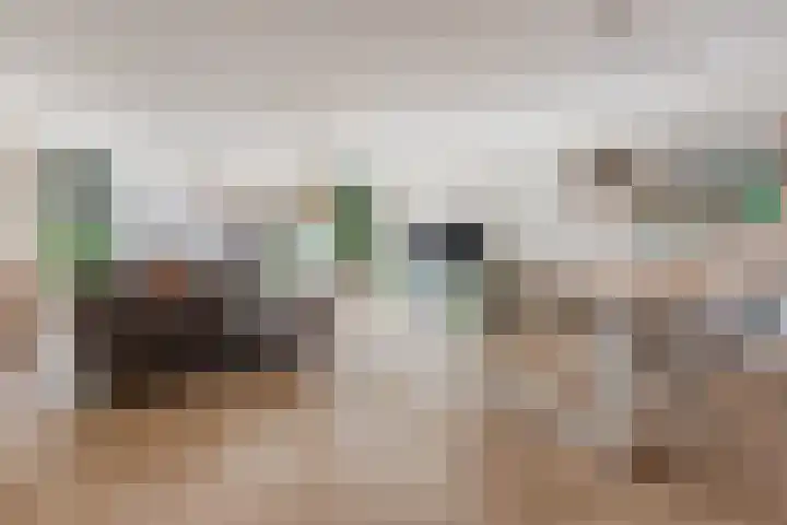 Regulierspoort 45 Nieuw-Vennep thumbnail 11