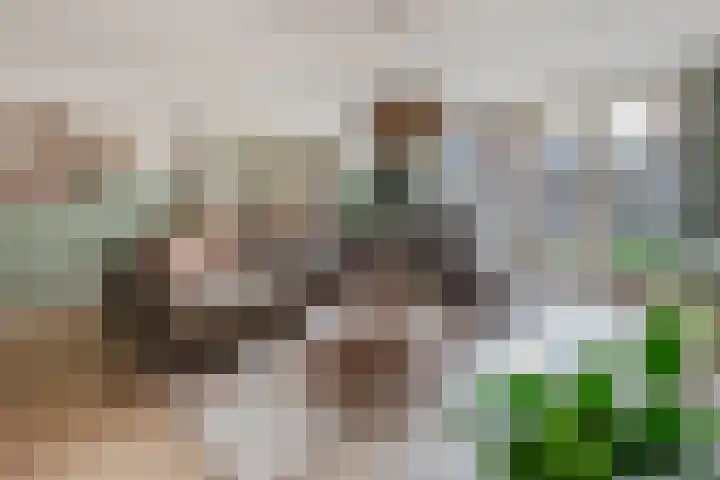 Regulierspoort 45 Nieuw-Vennep thumbnail 12