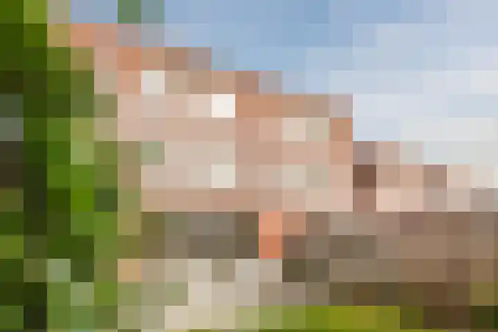Regulierspoort 45 Nieuw-Vennep thumbnail 48