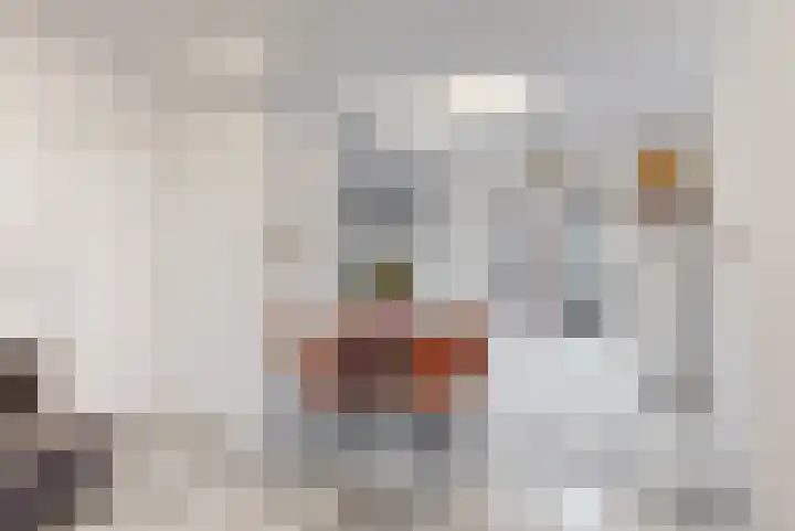 Reguliersstraat 74 Beverwijk thumbnail 8