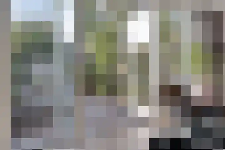 Regulierstraat 2 Zaltbommel thumbnail 10