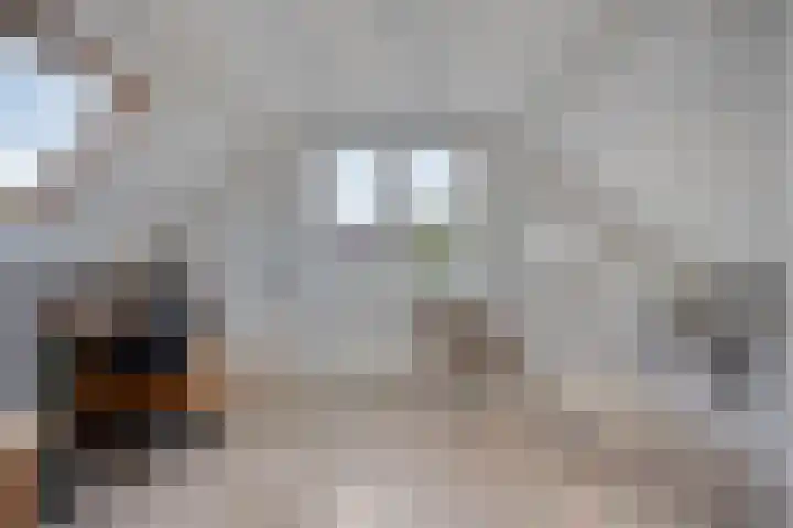 Regulierstraat 2 Zaltbommel thumbnail 30