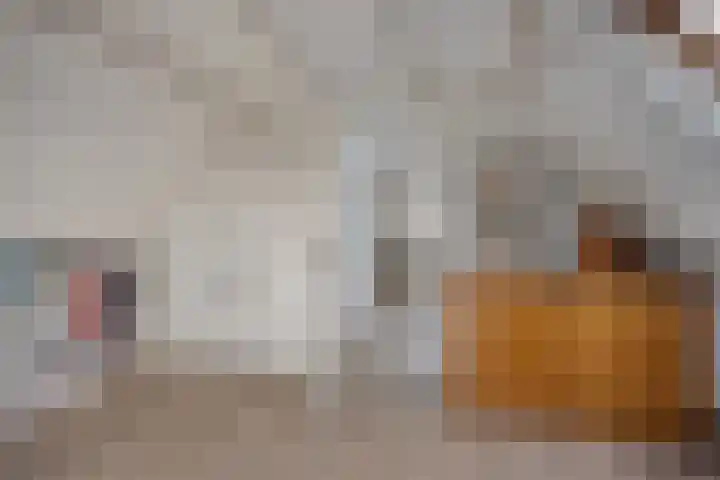 Regulierstraat 2 Zaltbommel thumbnail 31