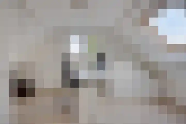 Regulierstraat 2 Zaltbommel thumbnail 32
