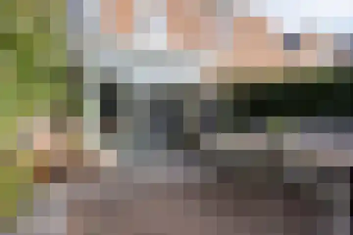 Regulierstraat 2 Zaltbommel thumbnail 35