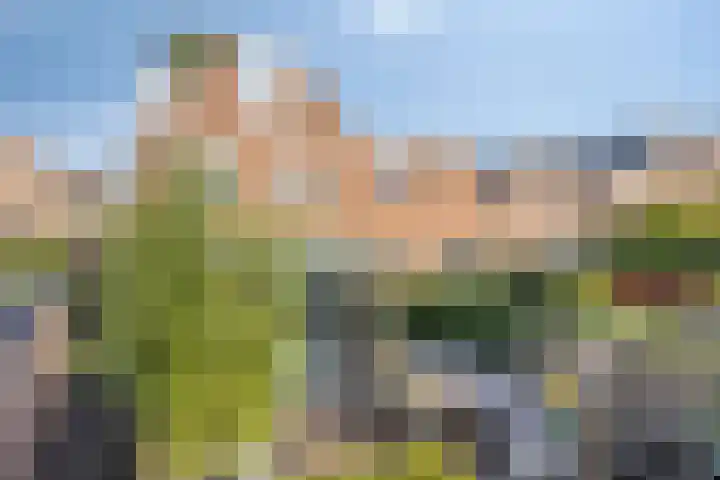 Regulierstraat 2 Zaltbommel thumbnail 37
