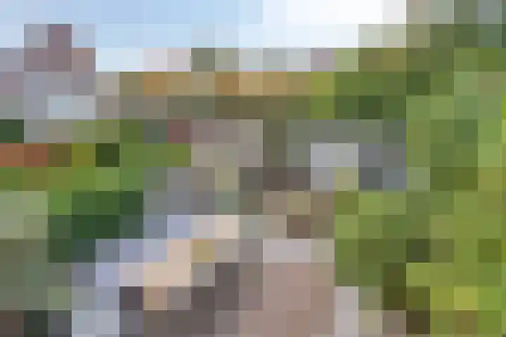 Regulierstraat 2 Zaltbommel thumbnail 38