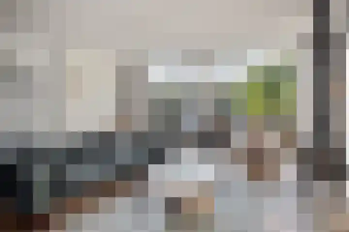 Regulierstraat 2 Zaltbommel thumbnail 9