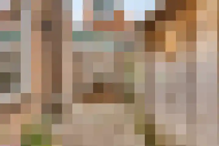 Regulierstraat 21 Haarlem thumbnail 22